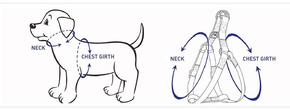 STEP IN HARNESS - BLUE GREY